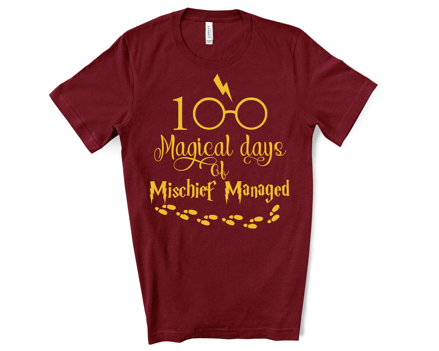 Harry Potter 100th Day of school shirt