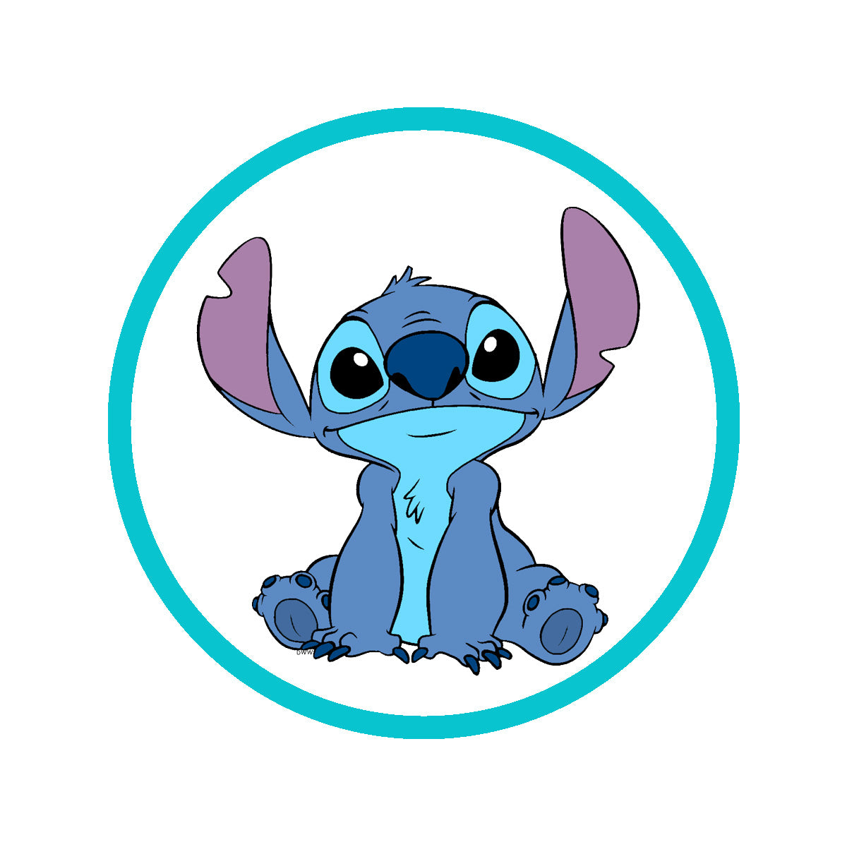 Stitch
