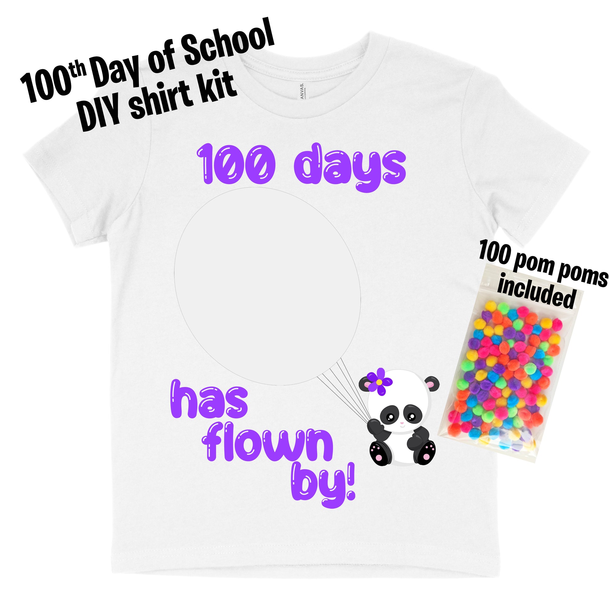 Make your own 100th day of school shirt kit