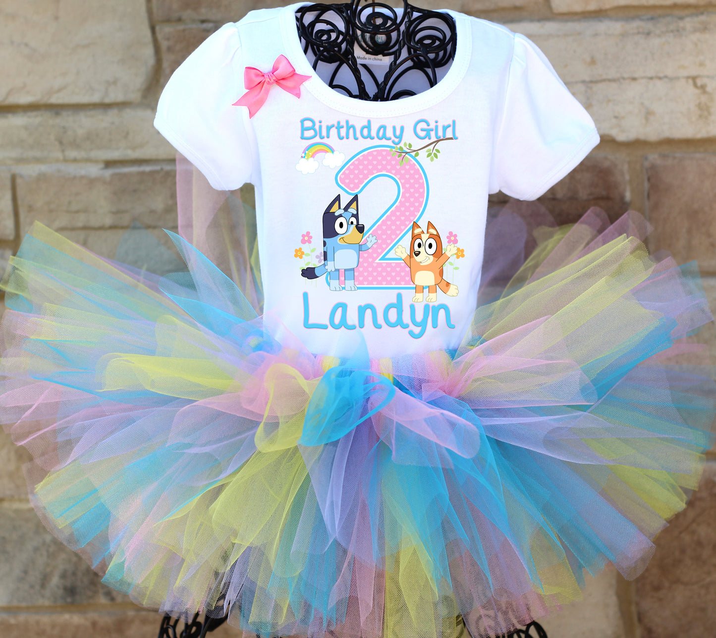 Bluey 1st Birthday Dress --With NAME-- party Tutu outfit Turquoise