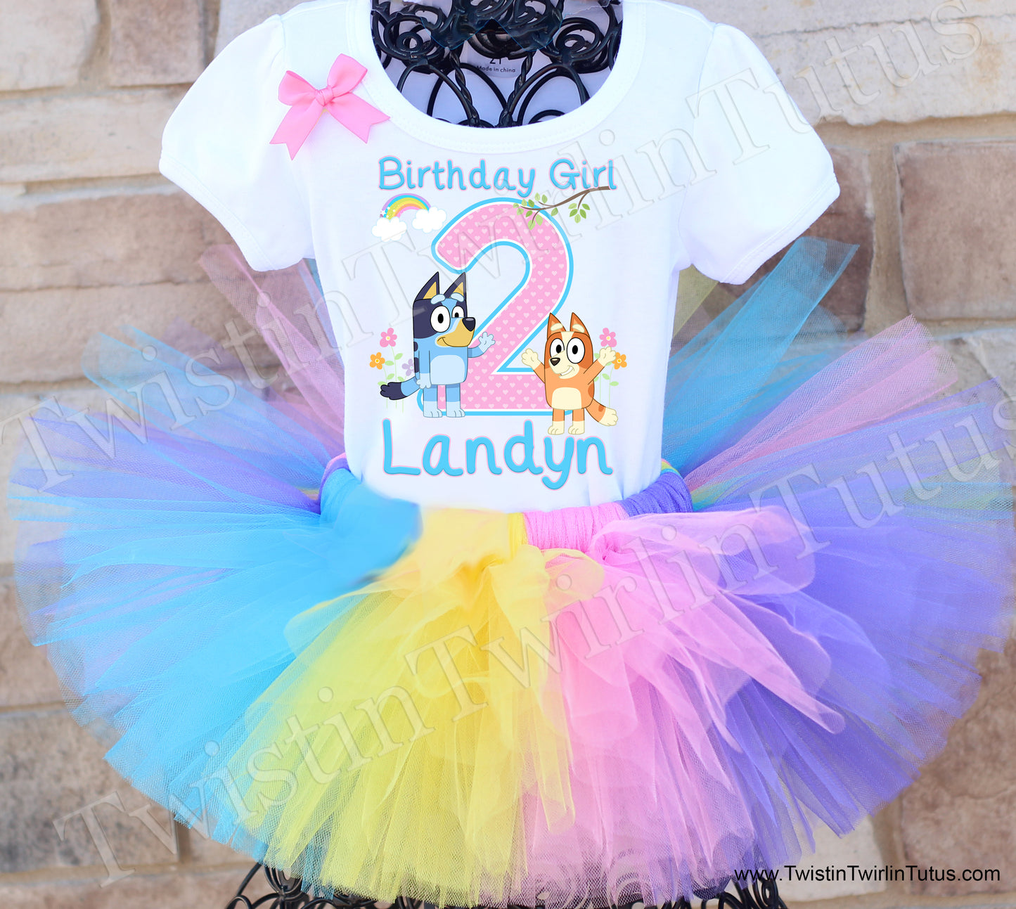 bluey birthday tutu outfit