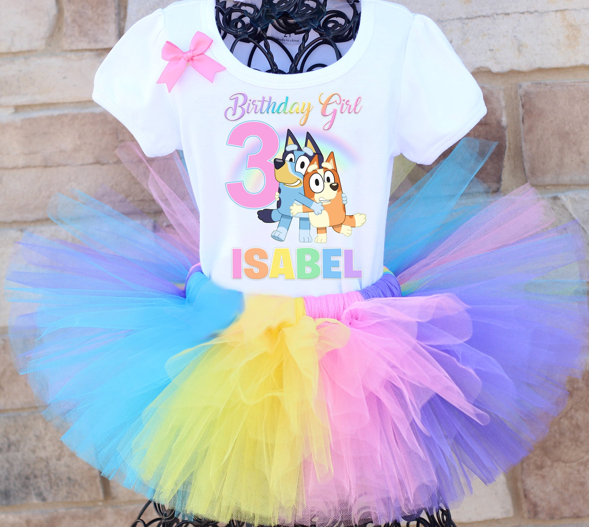 Bluey birthday tutu outfit