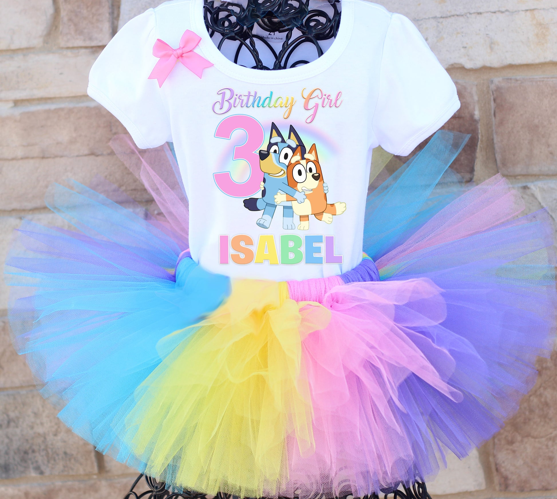 Bluey and Bingo Birthday Tutu Outfit