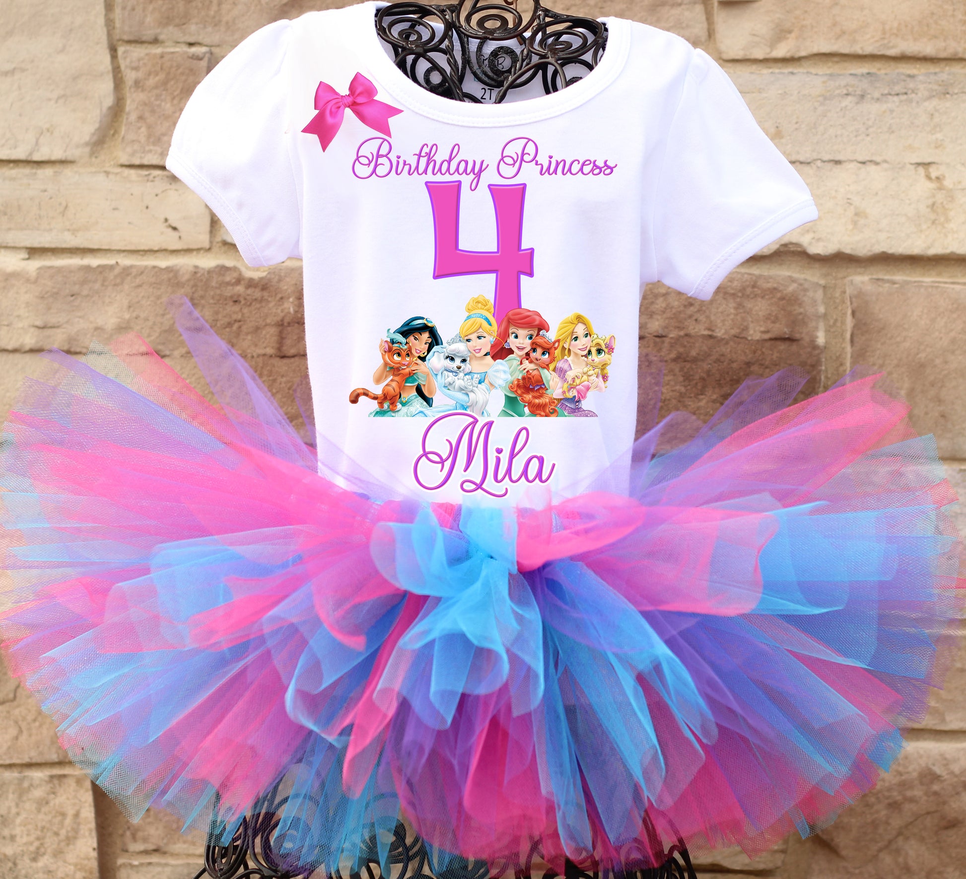Disney Princess and Palace pets birthday tutu outfit