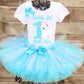Winter wonderland birthday tutu outfit