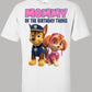 Paw Patrol Mommy Twins Shirt
