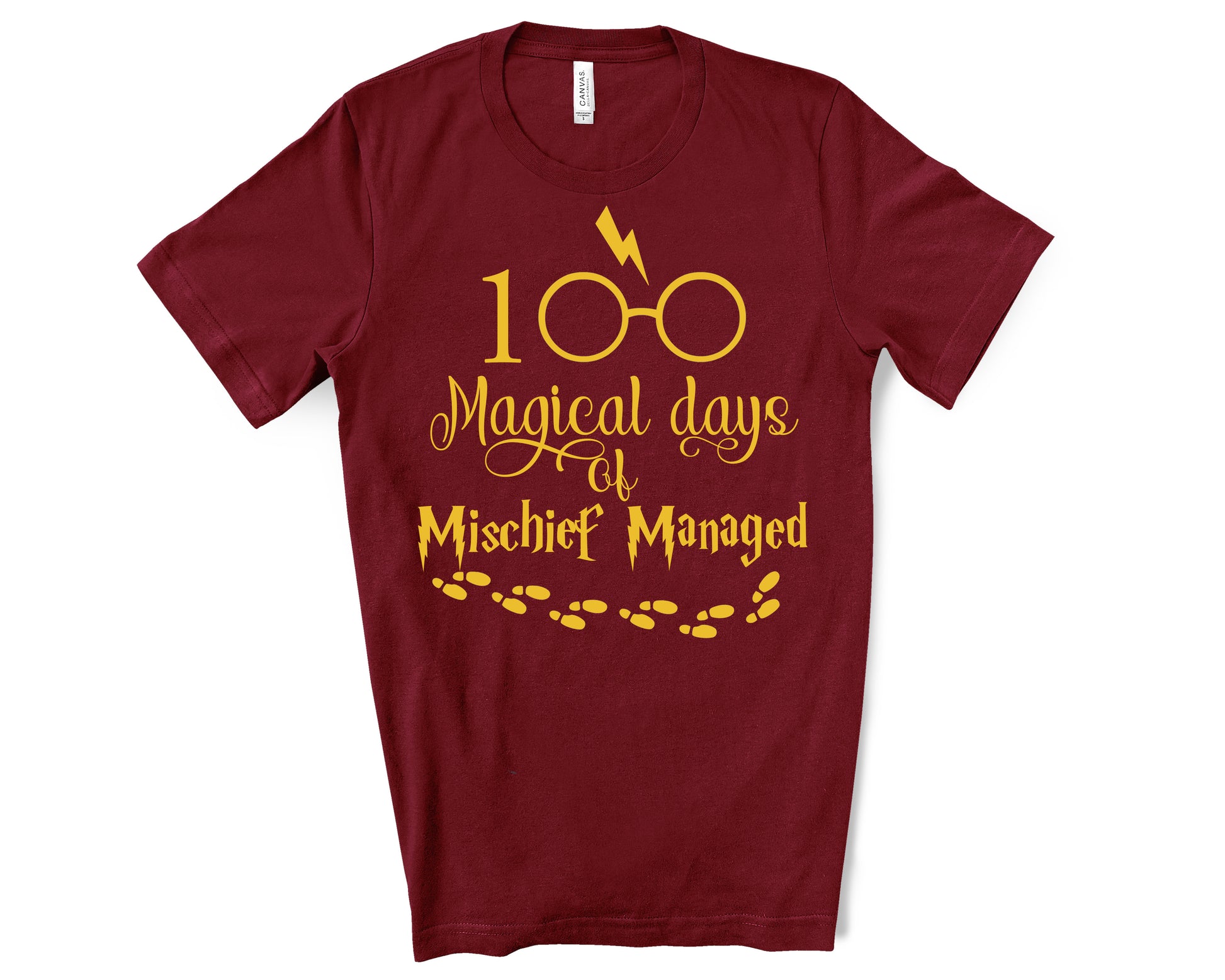 Harry Potter 100th Day of school shirt