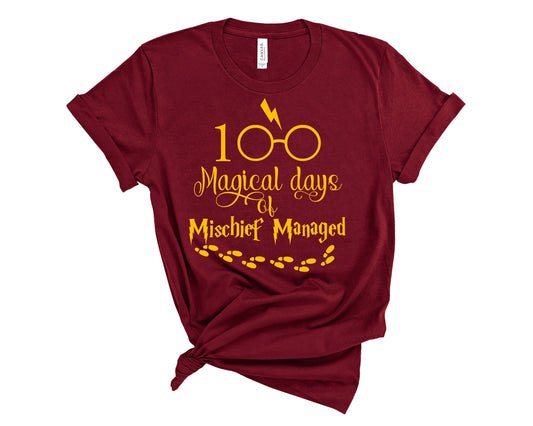 Harry Potter 100th day of school shirt