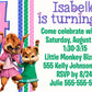 Chipettes birthday invitation